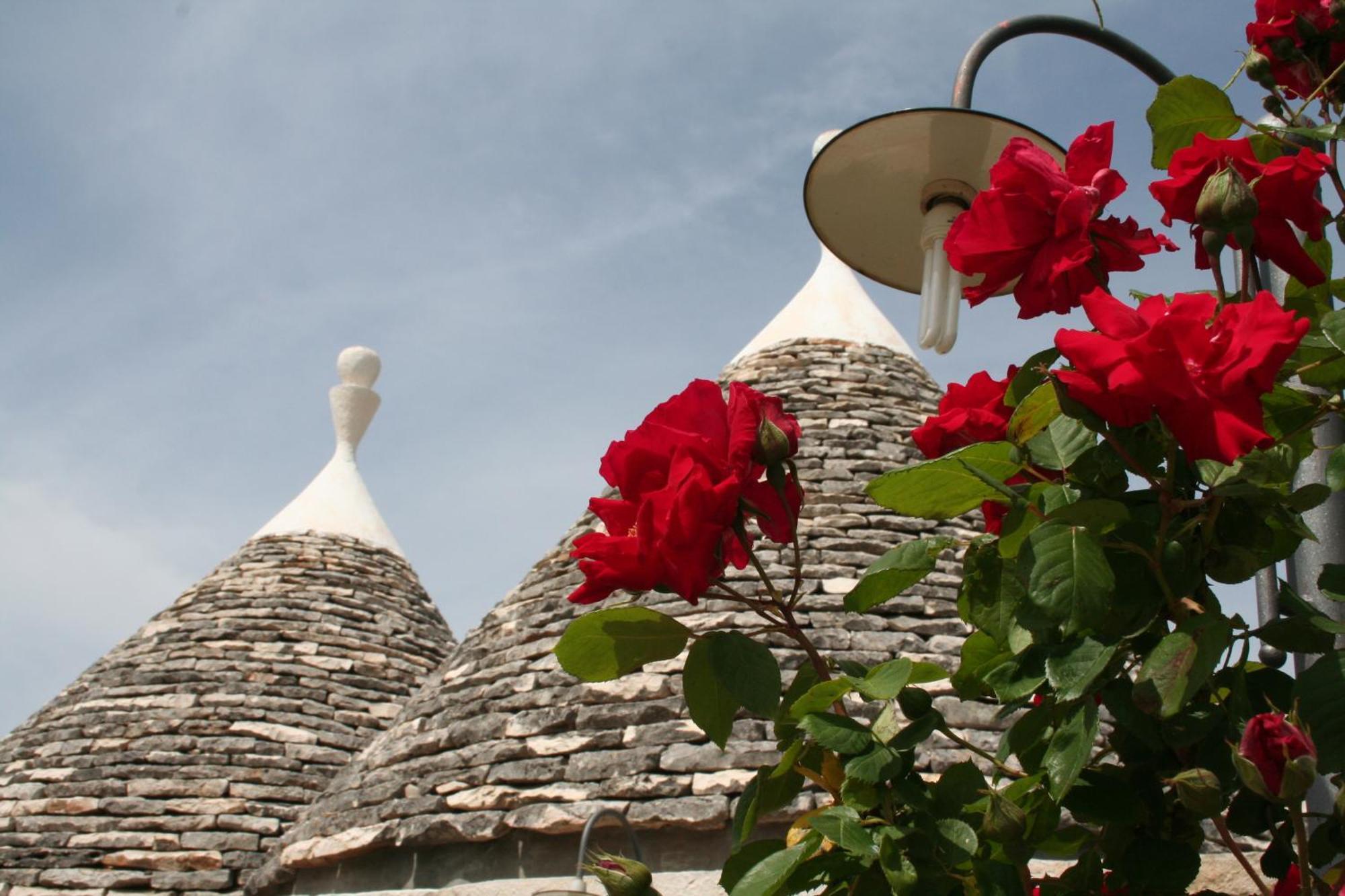 Vacanza In Puglia Alberobello Exterior foto